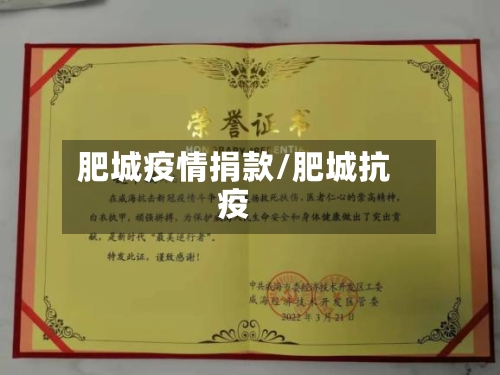 肥城疫情捐款/肥城抗疫