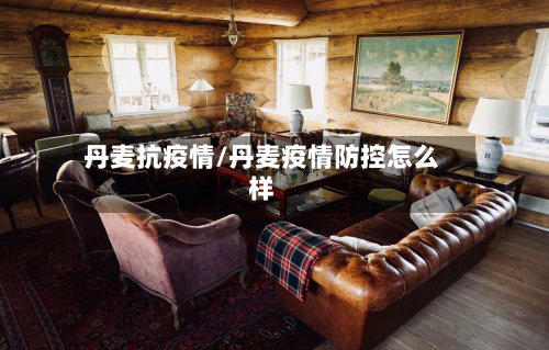 丹麦抗疫情/丹麦疫情防控怎么样-第2张图片