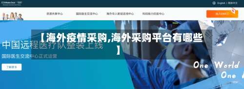 【海外疫情采购,海外采购平台有哪些】-第3张图片