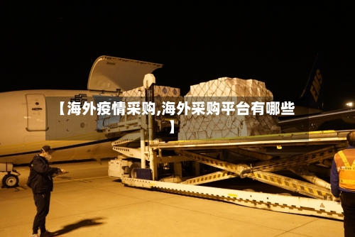 【海外疫情采购,海外采购平台有哪些】