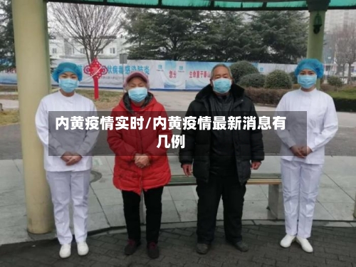 内黄疫情实时/内黄疫情最新消息有几例-第2张图片