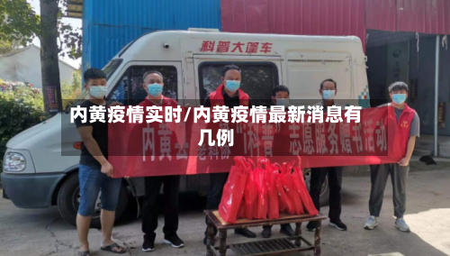 内黄疫情实时/内黄疫情最新消息有几例-第3张图片