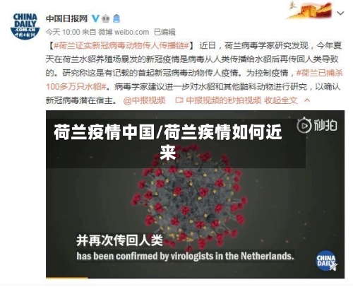 荷兰疫情中国/荷兰疾情如何近来