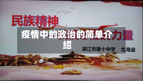 疫情中的政治的简单介绍