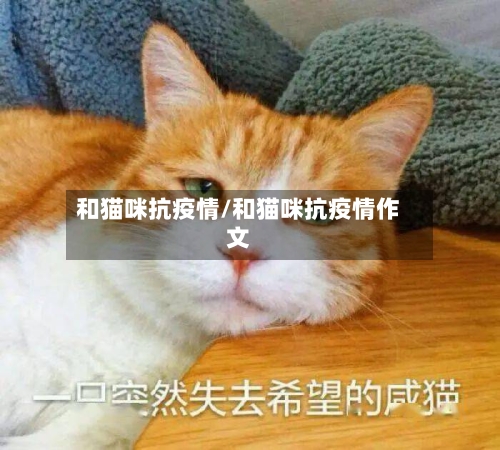 和猫咪抗疫情/和猫咪抗疫情作文
