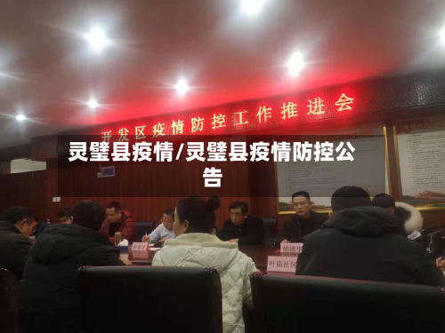 灵璧县疫情/灵璧县疫情防控公告