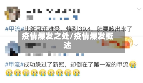 疫情爆发之处/疫情爆发概述