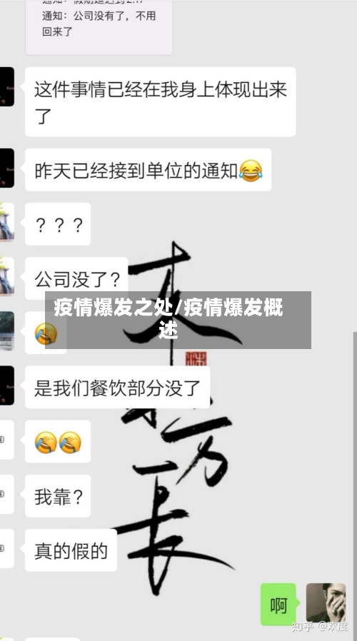 疫情爆发之处/疫情爆发概述-第3张图片