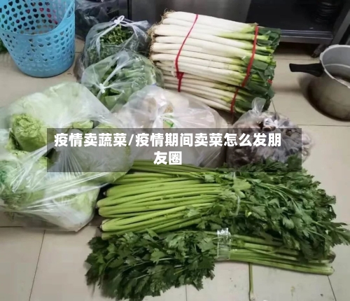 疫情卖蔬菜/疫情期间卖菜怎么发朋友圈