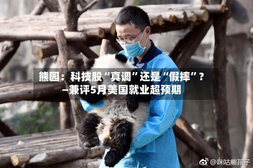 熊园：科技股“真调”还是“假摔”？—兼评5月美国就业超预期