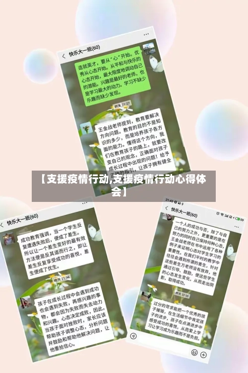 【支援疫情行动,支援疫情行动心得体会】-第2张图片