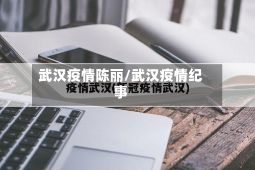 武汉疫情陈丽/武汉疫情纪事