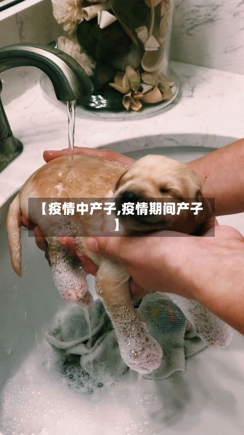 【疫情中产子,疫情期间产子】