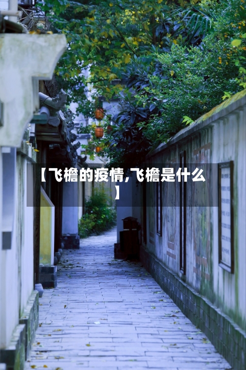 【飞檐的疫情,飞檐是什么】