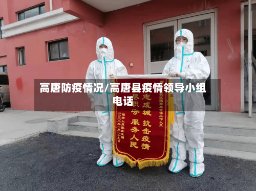 高唐防疫情况/高唐县疫情领导小组电话