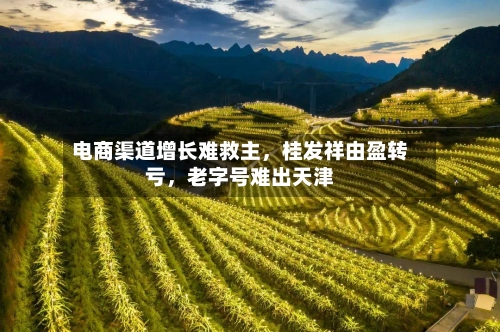 电商渠道增长难救主	，桂发祥由盈转亏，老字号难出天津-第2张图片