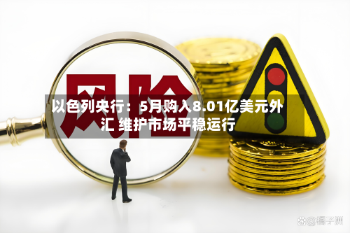 以色列央行：5月购入8.01亿美元外汇 维护市场平稳运行