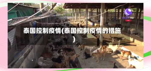 泰国控制疫情(泰国控制疫情的措施)