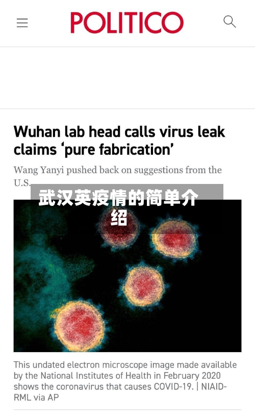 武汉英疫情的简单介绍-第3张图片