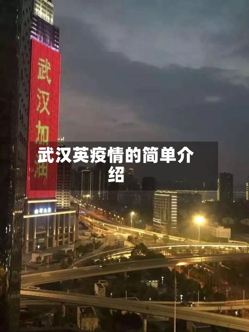 武汉英疫情的简单介绍-第2张图片