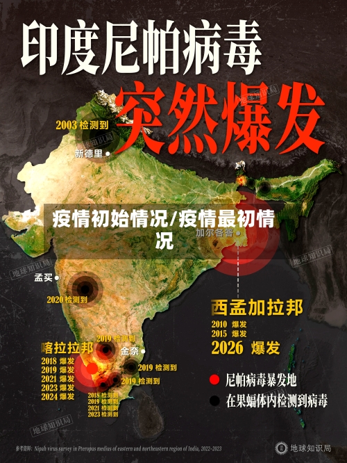 疫情初始情况/疫情最初情况