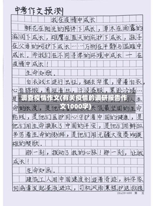 调查疫情作文(有关疫情的调研报告作文1000字)-第2张图片