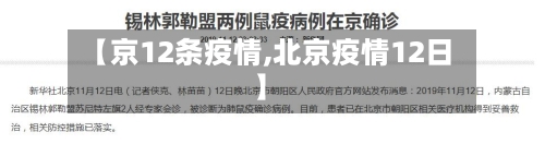 【京12条疫情,北京疫情12日】-第2张图片