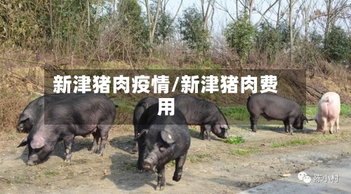 新津猪肉疫情/新津猪肉费用-第3张图片