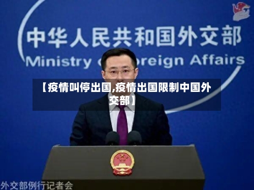 【疫情叫停出国,疫情出国限制中国外交部】