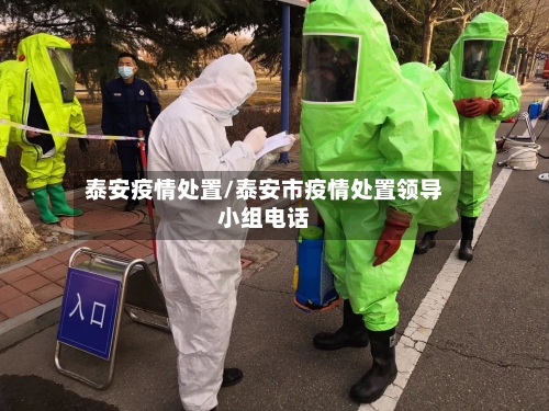 泰安疫情处置/泰安市疫情处置领导小组电话