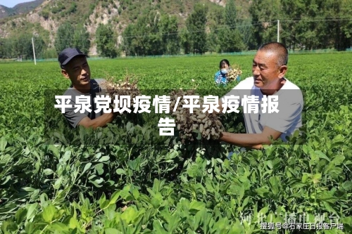 平泉党坝疫情/平泉疫情报告-第2张图片