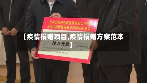 【疫情捐赠项目,疫情捐赠方案范本】-第2张图片