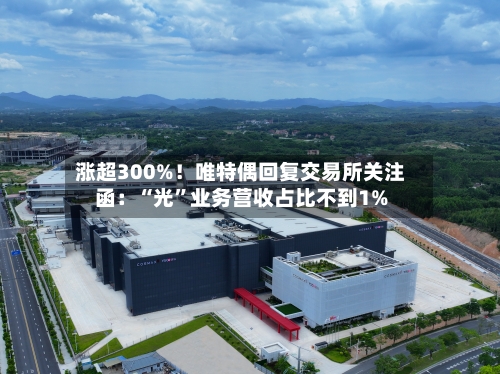 涨超300%！唯特偶回复交易所关注函：“光”业务营收占比不到1%-第3张图片