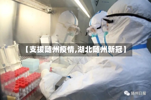【支援随州疫情,湖北随州新冠】-第2张图片