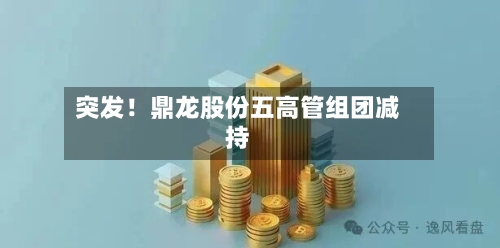 突发！鼎龙股份五高管组团减持