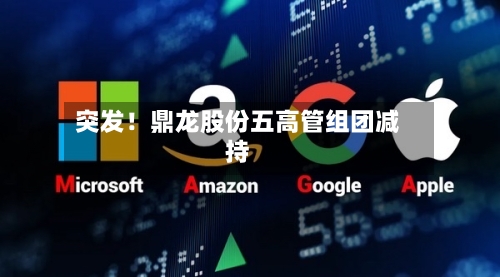 突发!鼎龙股份五高管组团减持-第2张图片