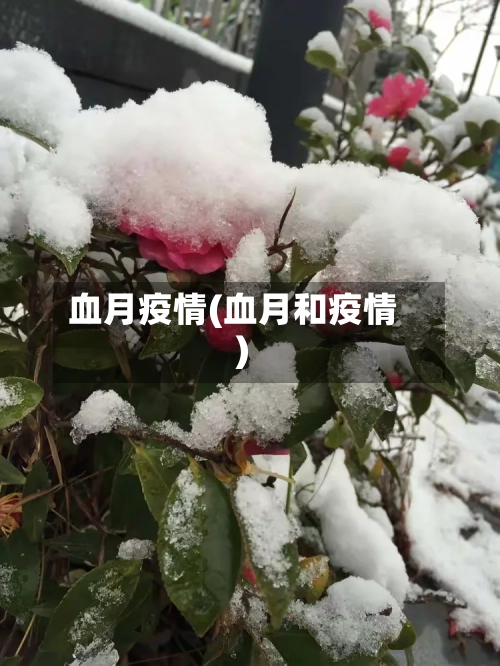 血月疫情(血月和疫情)