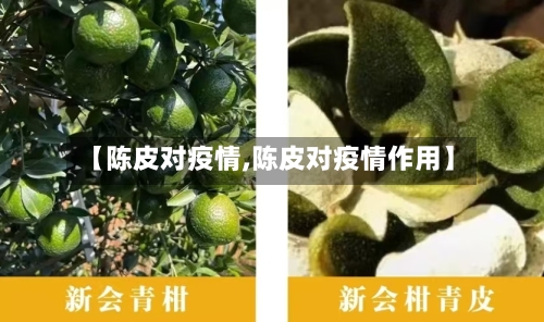 【陈皮对疫情,陈皮对疫情作用】