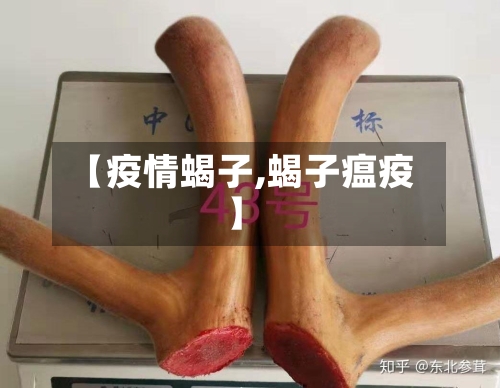 【疫情蝎子,蝎子瘟疫】-第2张图片