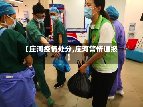 【庄河疫情处分,庄河警情通报】-第2张图片