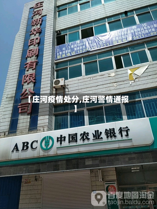 【庄河疫情处分,庄河警情通报】