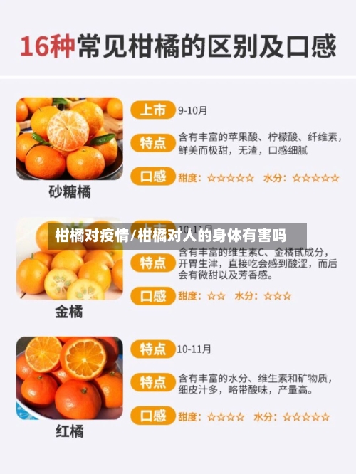 柑橘对疫情/柑橘对人的身体有害吗