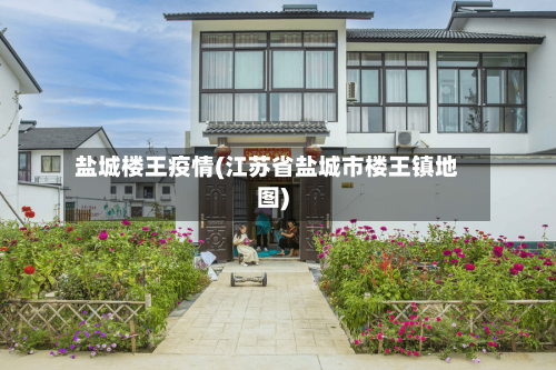 盐城楼王疫情(江苏省盐城市楼王镇地图)
