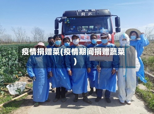 疫情捐赠菜(疫情期间捐赠蔬菜)-第2张图片