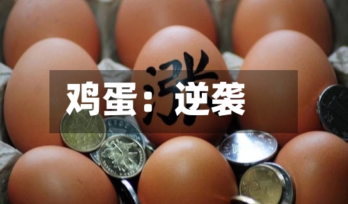 鸡蛋：逆袭