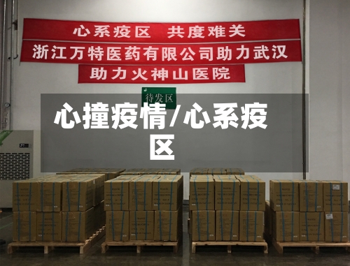 心撞疫情/心系疫区