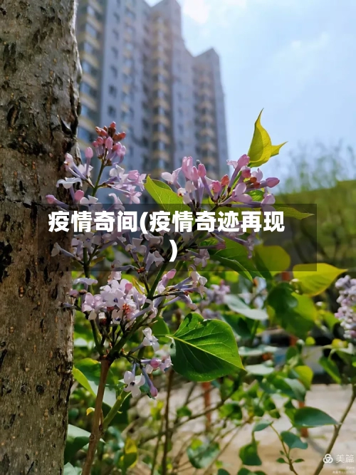 疫情奇间(疫情奇迹再现)