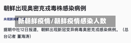 新朝鲜疫情/朝鲜疫情感染人数-第3张图片