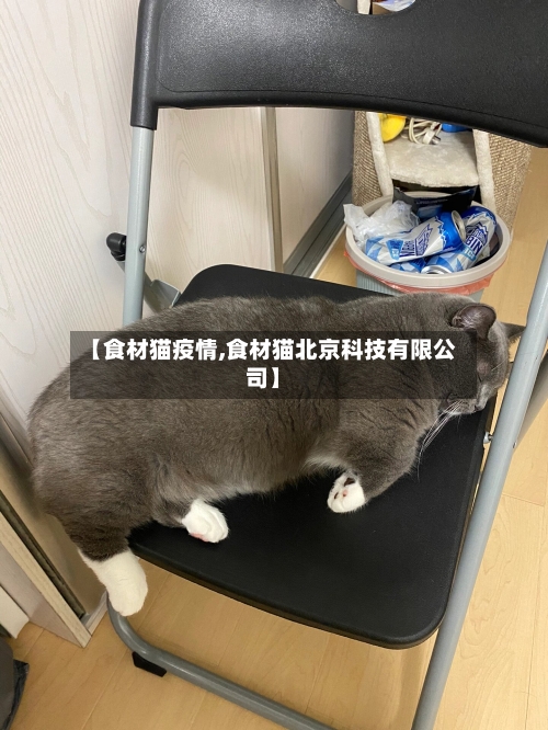 【食材猫疫情,食材猫北京科技有限公司】