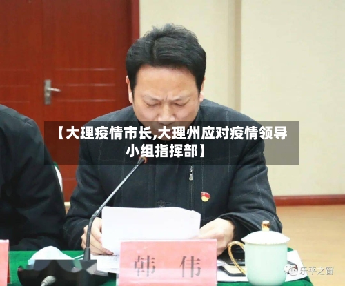 【大理疫情市长,大理州应对疫情领导小组指挥部】
